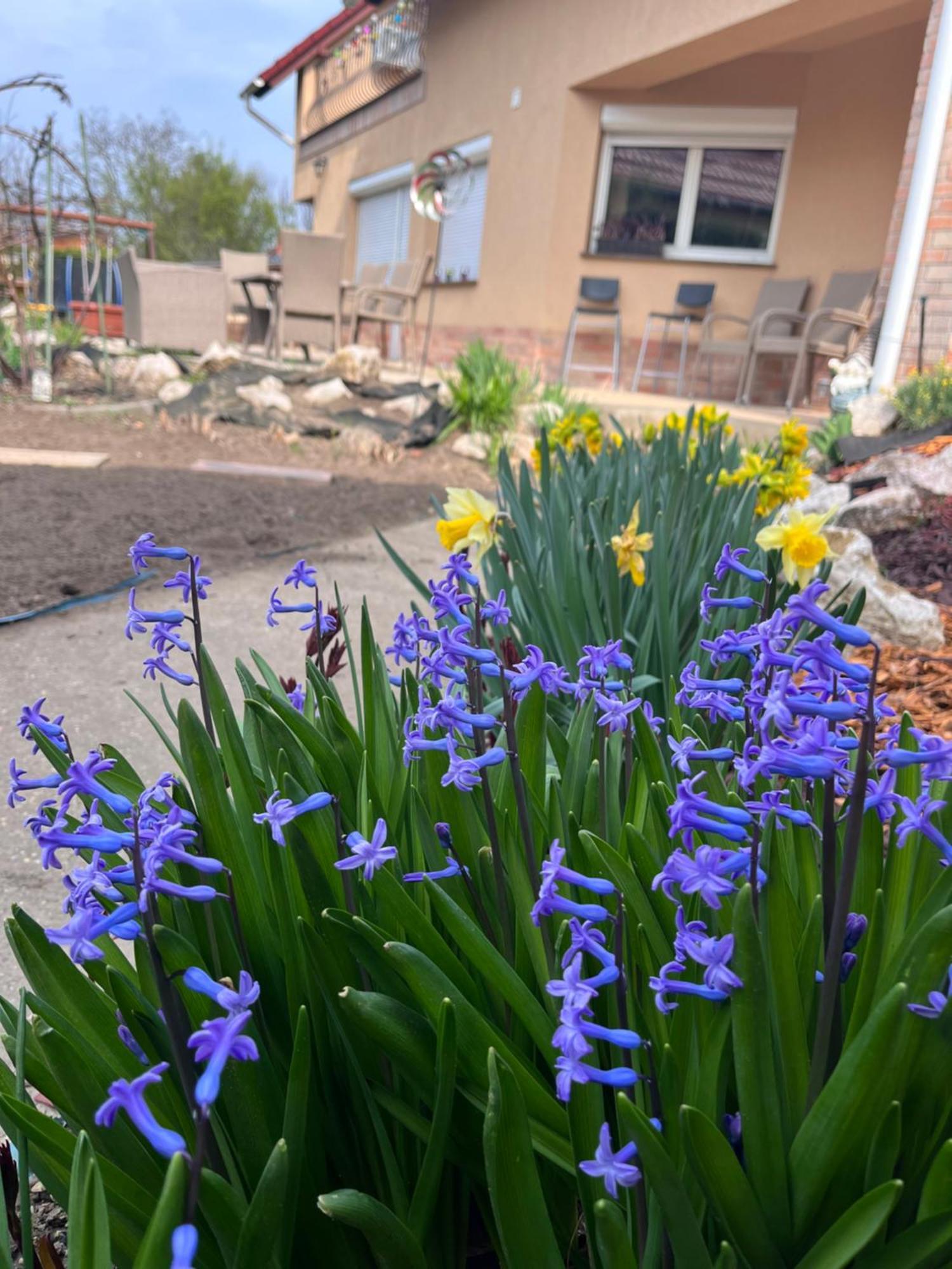 Garden Villa Budapest Eksteriør bilde