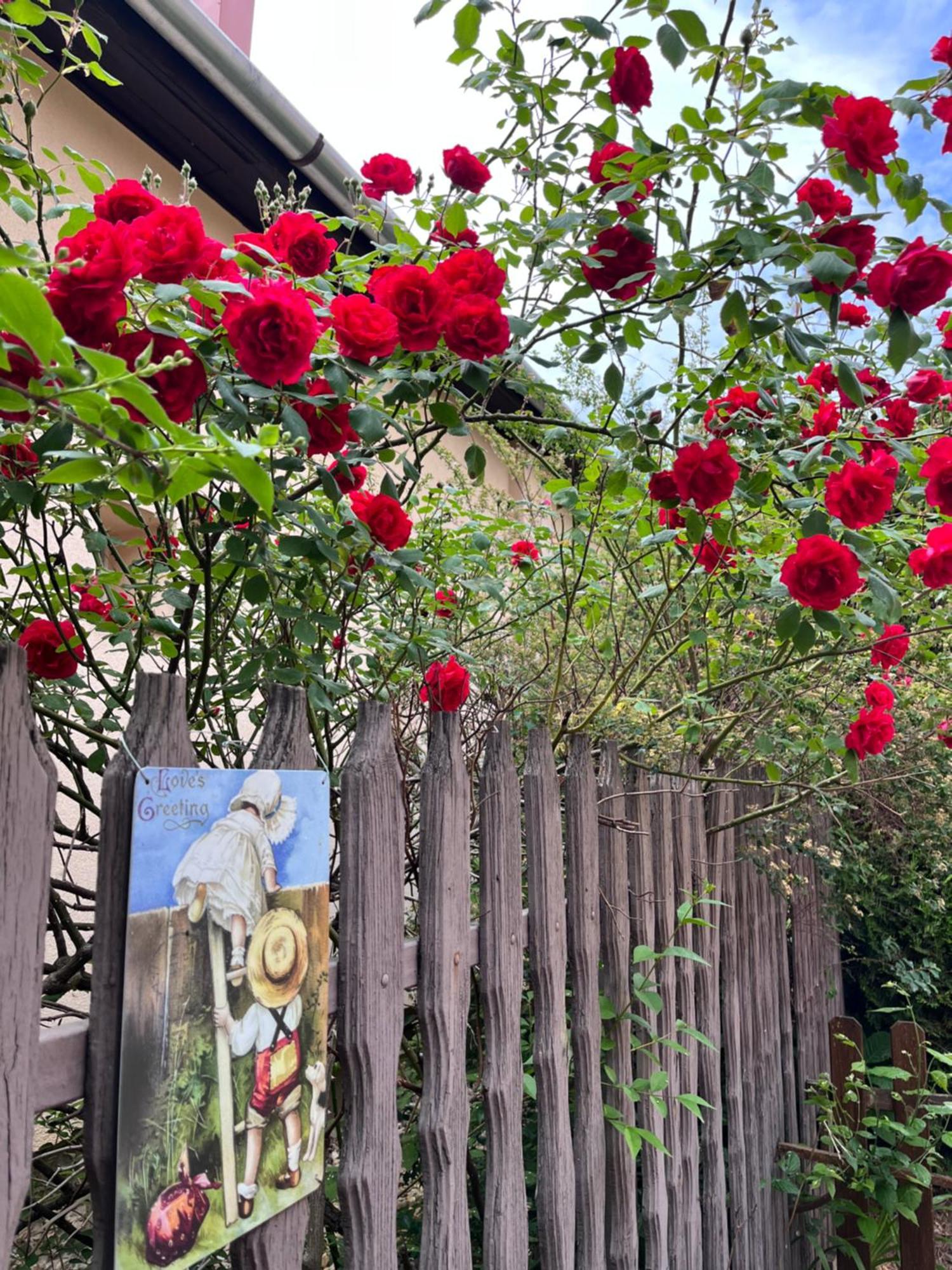 Garden Villa Budapest Eksteriør bilde